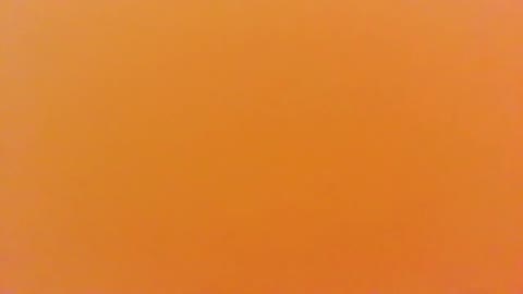         極み至高！ｃなあの子のコンプリート動画集
    