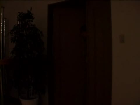         美少女残酷フィルム Vol 6 女子校生公開絶頂処刑
    