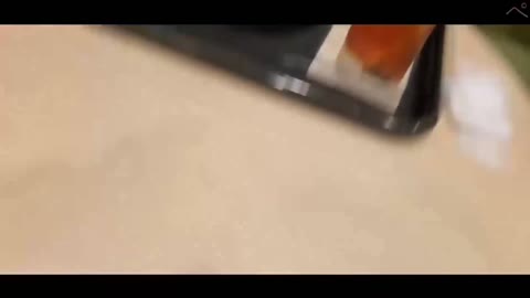         無 お得意様へのプレゼン
    