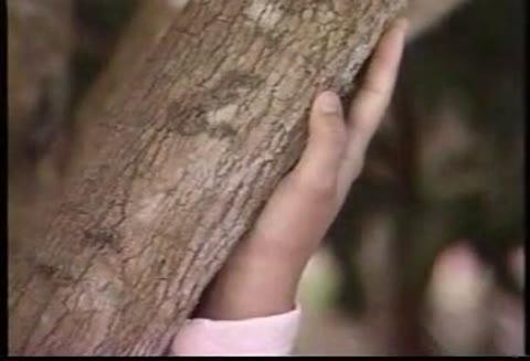         空の下で　洋子
    