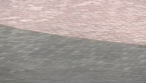         短時間限定販売！すばらしく迫力のある踊りをぜひ！最強作品！！！t1-114【高画質動画】
    