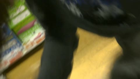         胸元の殿堂vol.8
    