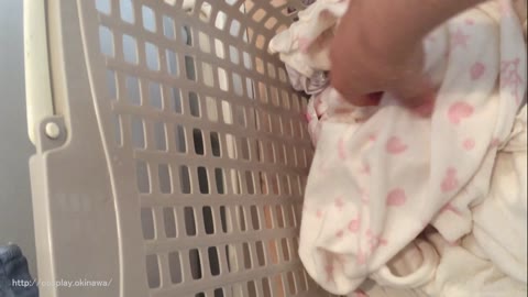         *閲覧注意*【問題作・盗撮】実家の洗濯機横のカゴ　～下着・染みパンをチェック～
    