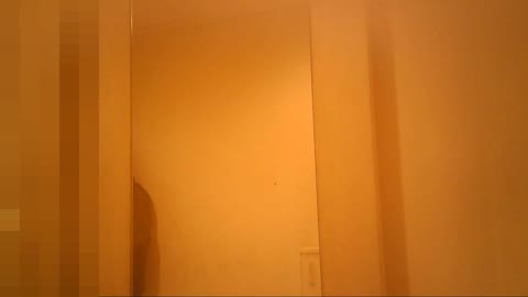         ◎限定2画面 表情カメラ追加◎ ☆オーバーオールのカワイ子ちゃん☆
    