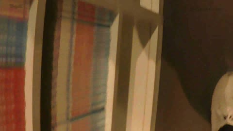         漫喫でみつけた制服JKにラリホー〇・れ〇ぷ
    