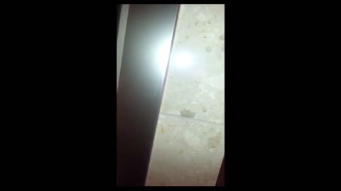         仲良くなった近所の奥さんがチンコ中毒のドスケベでヤバイ！etc4本
    