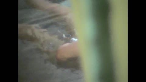         厳選女湯大浴場 vol.21
    