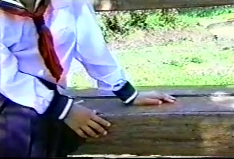         昭和のイメージビデオコレクション 19
    