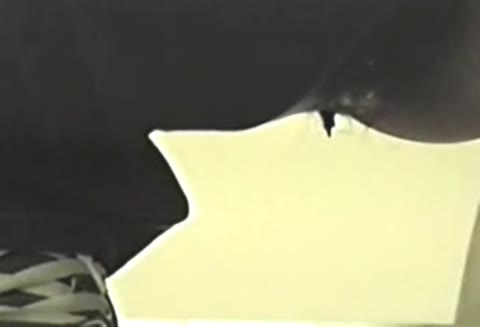         無修正【和式トイレ引きこもり厠盗撮！】
    