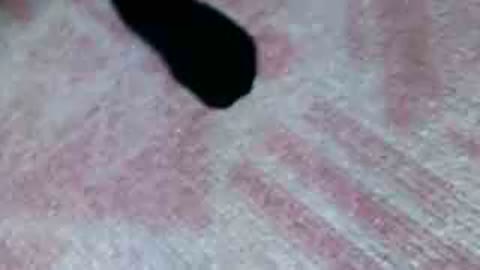         J〇えちえちな放課後
    