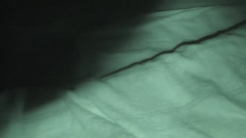         体育授業 制服1日 体操服1日 スポブラ 巨乳SJK （19分24秒）
    