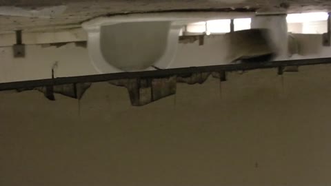         トイレ詰め合わせ 第3段
    