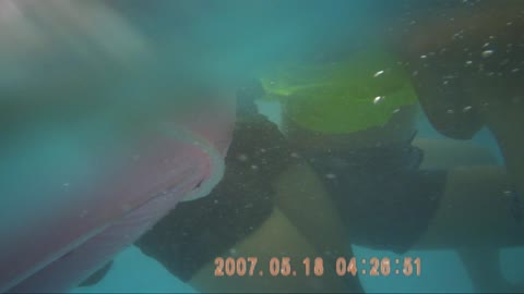         友達同士でプールでワイワイvol.9
    