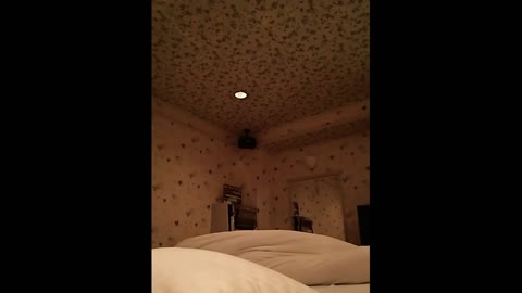         美人妻・不倫中出し。危険日いうけど強引に中に大量発射!!x2
    