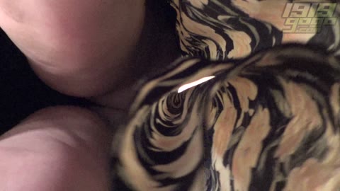         1919gogo Changing room dwk017_0140_01
    