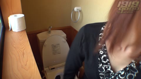         Hiroshi Toilets dwt001_0140_01
    