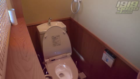         Hiroshi Toilets dwt001_0340_01
    