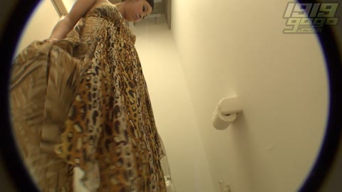         Hiroshi Toilets dwt004_0140_01
    