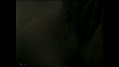         超フレッシュ♪若い女子のカラダを丸ごと堪能！援〇交どうが、他3本
    