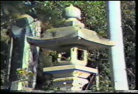         黒い菊 田口ゆかり 中出し
    