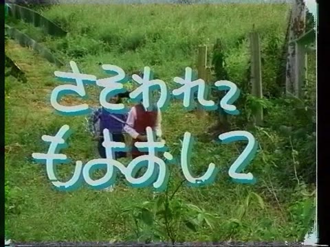         Hot Teen Party Vol 1005A
    