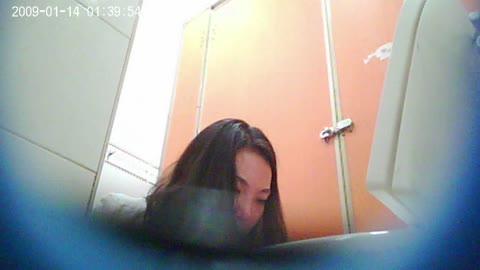         Chinese University Toliet 2
    