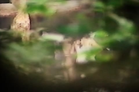         訳あり。望遠レンズで露天風呂の着替え。素人ドキュメント全裸美人ガチプライベート初公開
    