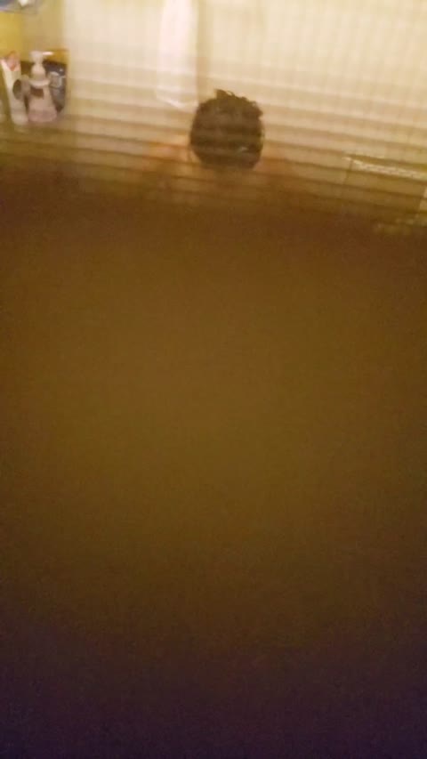         お風呂まる見え
    