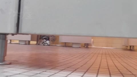         Nozokinakamuraya pethai013_00
    