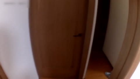         【デリヘル盗撮】ヤリ部屋にデリヘルを呼んで盗撮。オッパイが大きい入店3ヶ月の小動物系デリ嬢
    