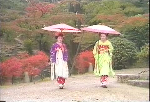        清岡ビデオ　舞妓Ⅱ 秀美
    