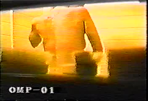         盗撮。○学生の姉と○学生のいもうと
    