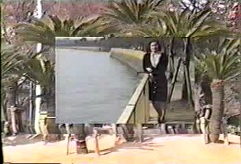         硬いので抱いて 裏ビデオ
    