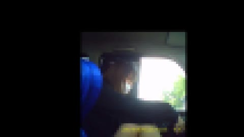         【車内プチ】車内で乳見せとマン開きくぱぁをしてくれた20歳のDカップちゃん♪
    