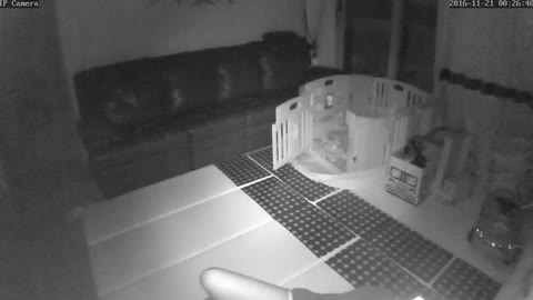         S級美女がバイブオナニー中にカメラに気づくも時すでに遅し他全５名
    