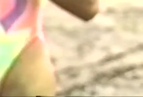         桃から杏え 經典懷舊
    