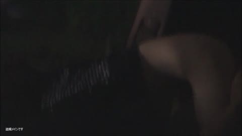         カーセックスでシックスナイン
    