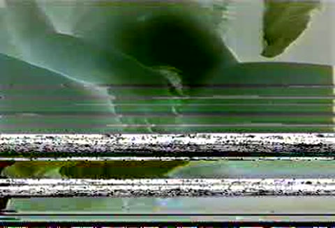         Mizuki 18 才。目隠し￥交
    