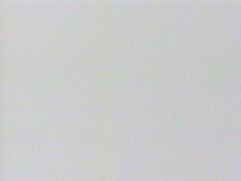         MAD-SEX 南れいこ
    