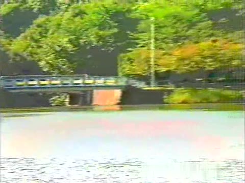         紅葉(くれなひ)
    