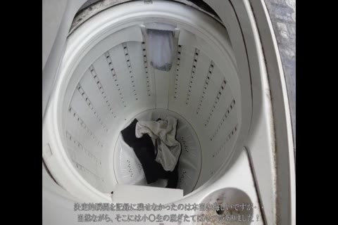         ロリOンな下着ドロの変態日記
    