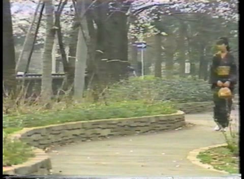         和服の女、レイプ 葉山恵子 經典懷舊
    