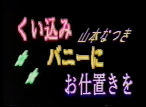         山本なつき 食い込みバニーにお仕置きを
    