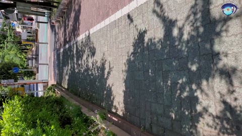         SS級あの美少女ストーカー盗撮
    