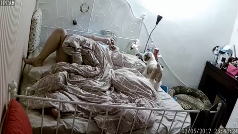         足ピンでクリトリス刺激オナニー他全４名
    