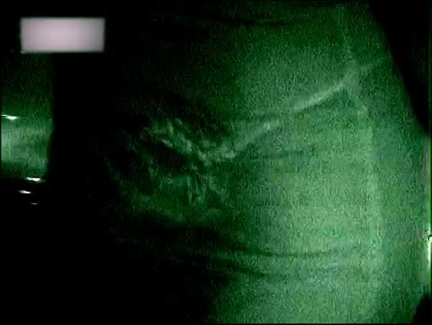         Vol.5 工業非破壊検査系で使用してる透過・透視の専用解析ソフト。レオタードも全て下着までスケスケ
    