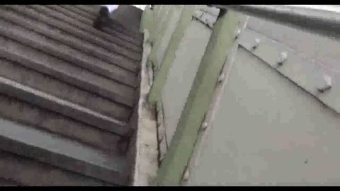         ママには内緒。義理の娘と毎日セックスする父親の秘蔵ファイル
    